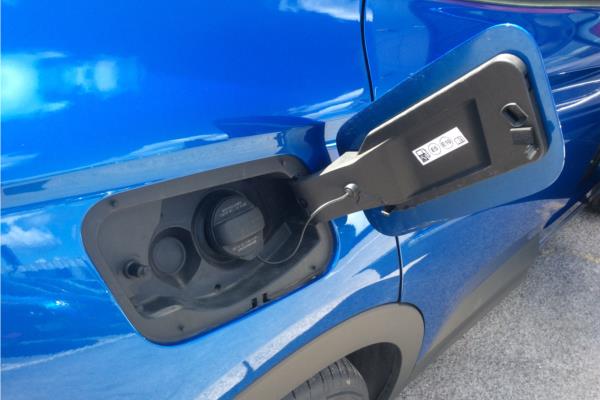2020 Vauxhall Grandland X 1.6 13.2kWh Elite Nav SUV 5dr Petrol Plug-in Hybrid Auto 4WD Euro 6 (s/s) Hybrid4 (300 ps) - Leather, photo 34