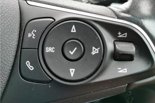 2020 Vauxhall Grandland X 1.2 Turbo Elite Nav Auto Euro 6 (s/s) 5dr - Leather, photo 19