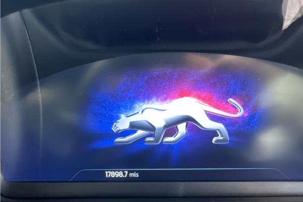 Non Franchise 2022 Ford Puma 1.5T EcoBoost ST SUV 5dr Petrol Manual Euro 6 (s/s) (200 ps) - Fabic - Cloth, photo 25