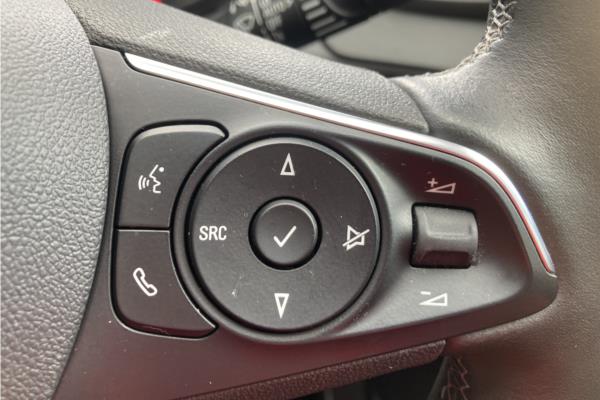 2019 VAUXHALL GRANDLAND - Leather, photo 23