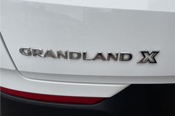 2019 Vauxhall Grandland X - Leather, photo 36