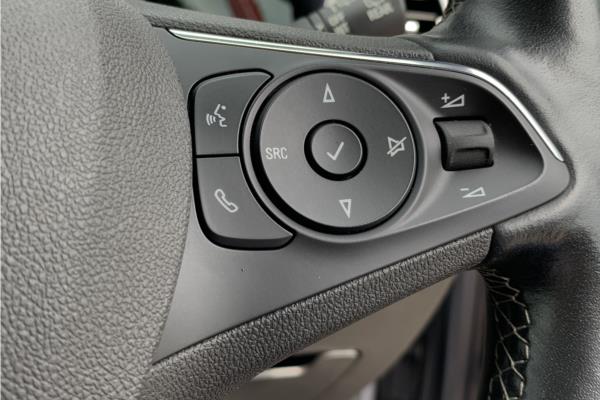 2022 Vauxhall Grandland 1.2 Turbo Elite SUV 5dr Petrol Manual Euro 6 (s/s) (130 ps) - Leather, photo 19