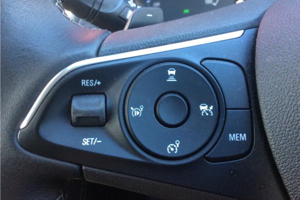 2020 Vauxhall Grandland X 1.6 13.2kWh Elite Nav SUV 5dr Petrol Plug-in Hybrid Auto 4WD Euro 6 (s/s) Hybrid4 (300 ps) - Leather, photo 17