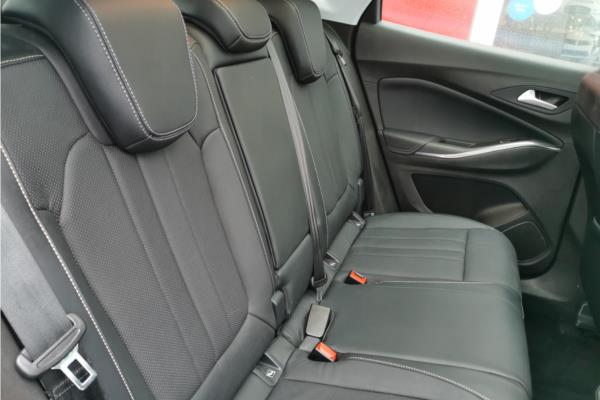 2020 Vauxhall Grandland X 1.2 Turbo Elite Nav Auto Euro 6 (s/s) 5dr - Leather, photo 13