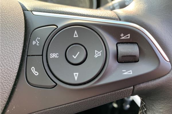 2020 VAUXHALL GRANDLAND - Leather, photo 18