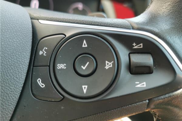 2022 Vauxhall Grandland 1.2 Turbo GS Line SUV 5dr Petrol Auto Euro 6 (s/s) (130 ps) - Cloth, photo 19